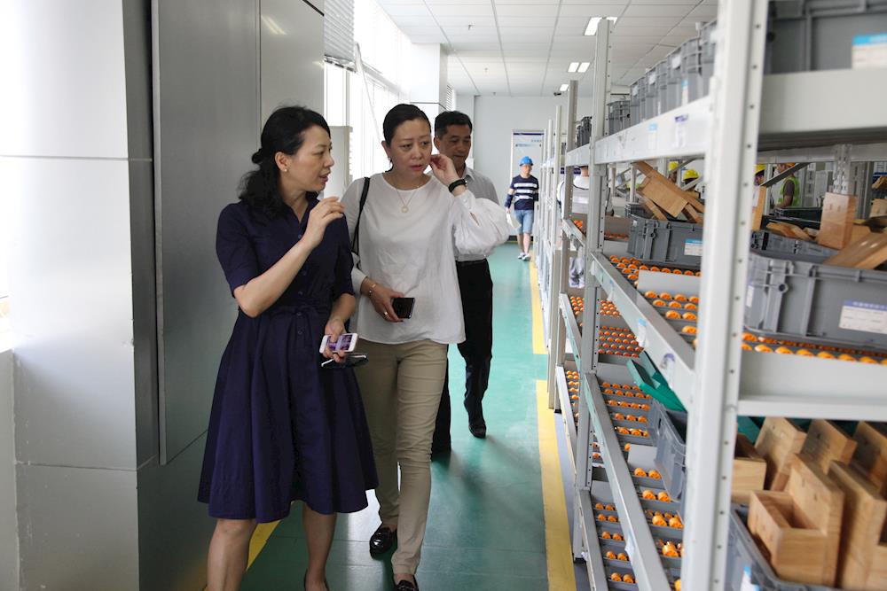 201805171712594769.jpg 201805171712594769.jpg