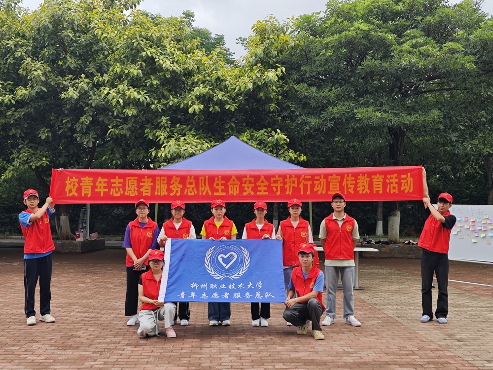 图示, 示意图

中度可信度描述已自动生成:ver1