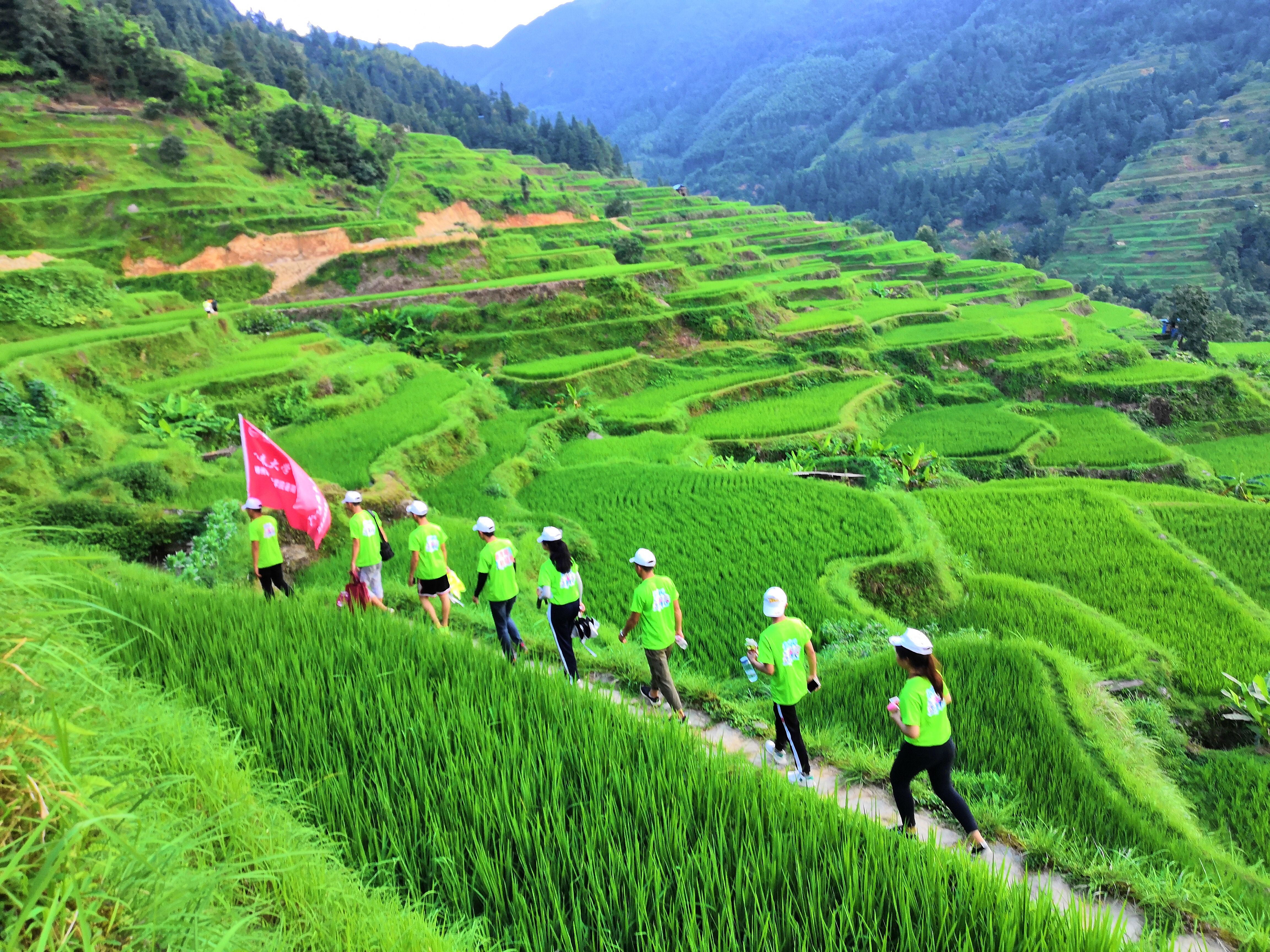 201807251625258946.jpg 201807251625258946.jpg