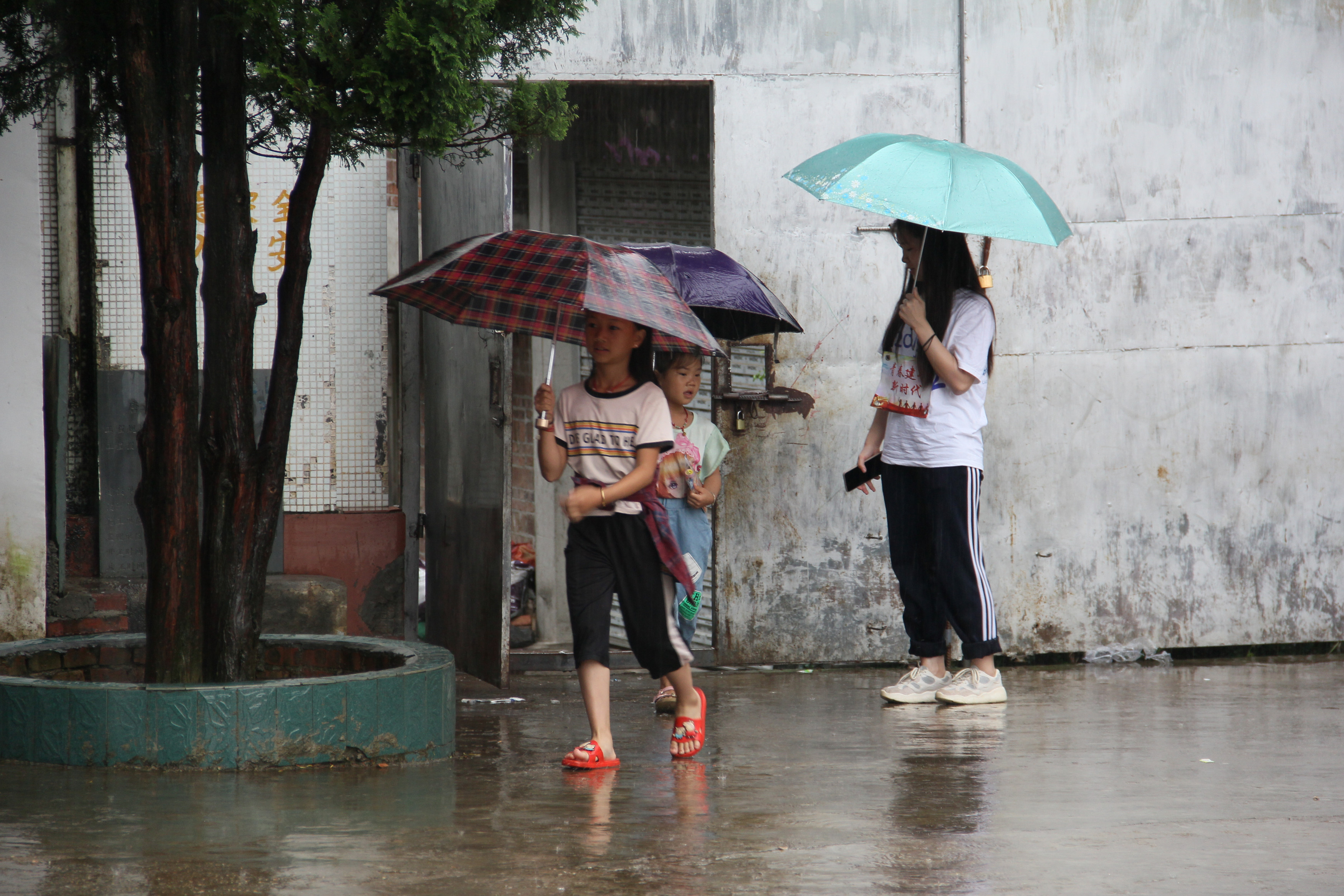 201907241235191761.Jpeg 201907241235191761.Jpeg