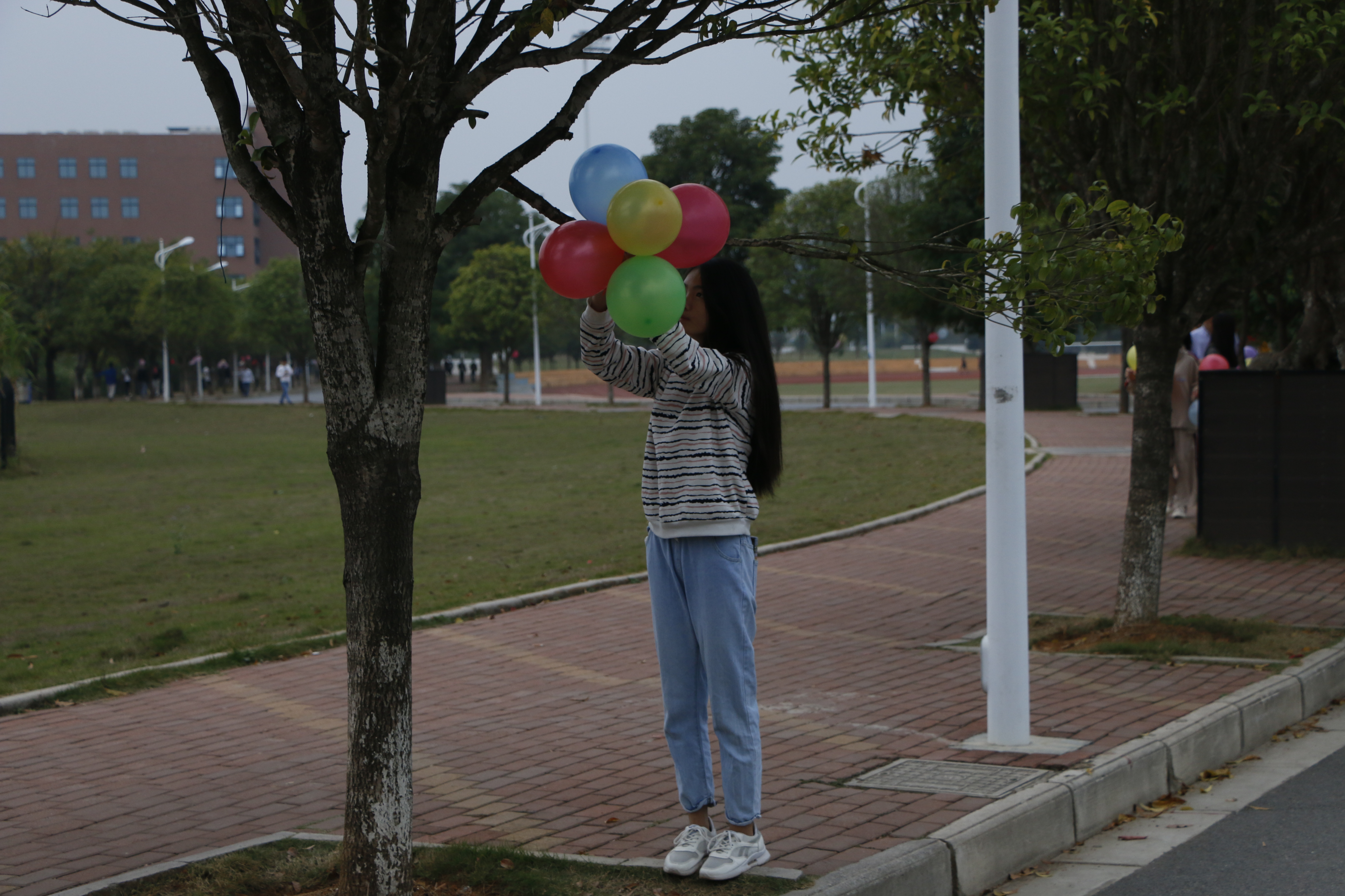 201911201737307368.JPG 201911201737307368.JPG