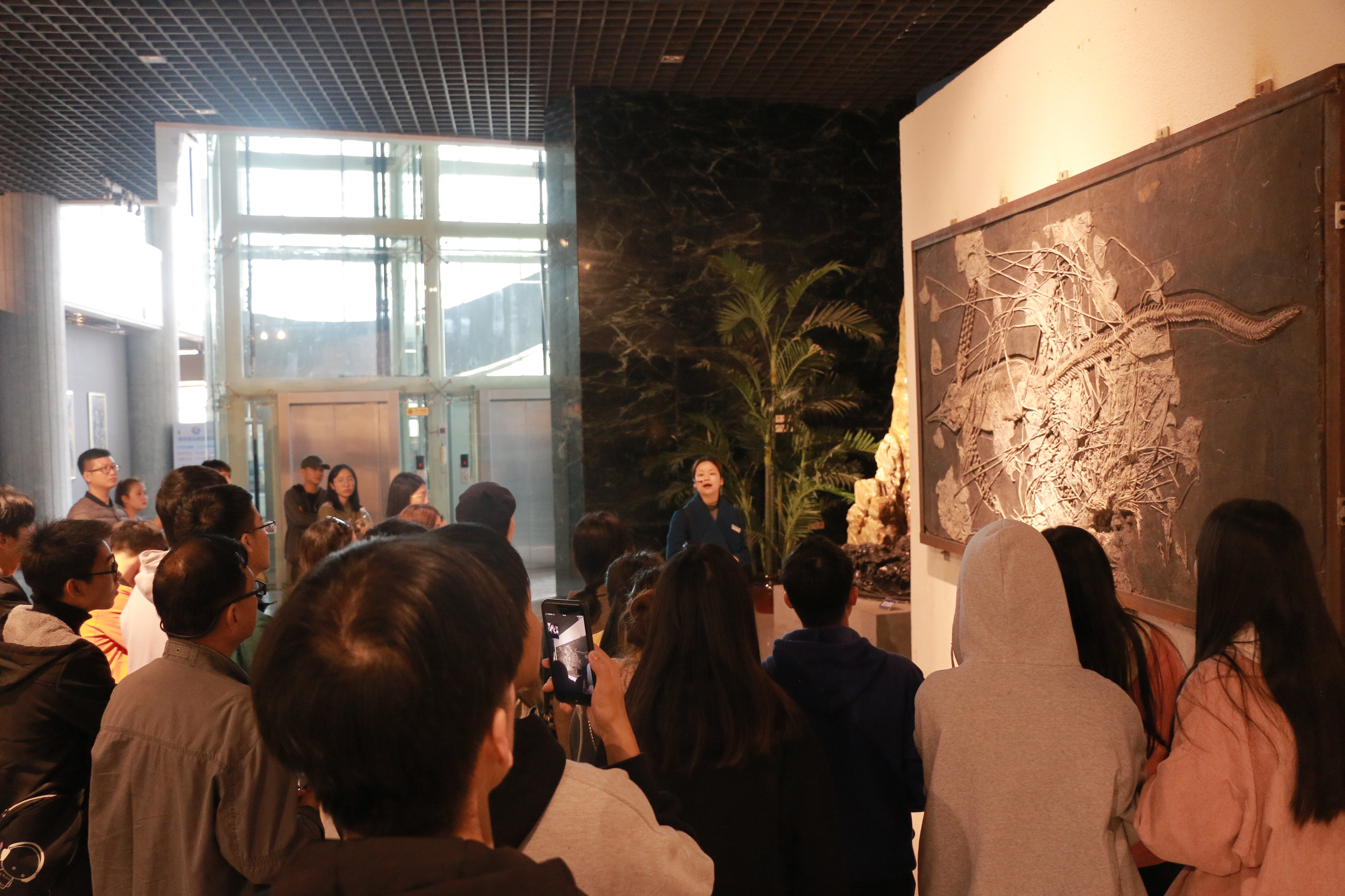 202001081703424227.jpg 202001081703424227.jpg