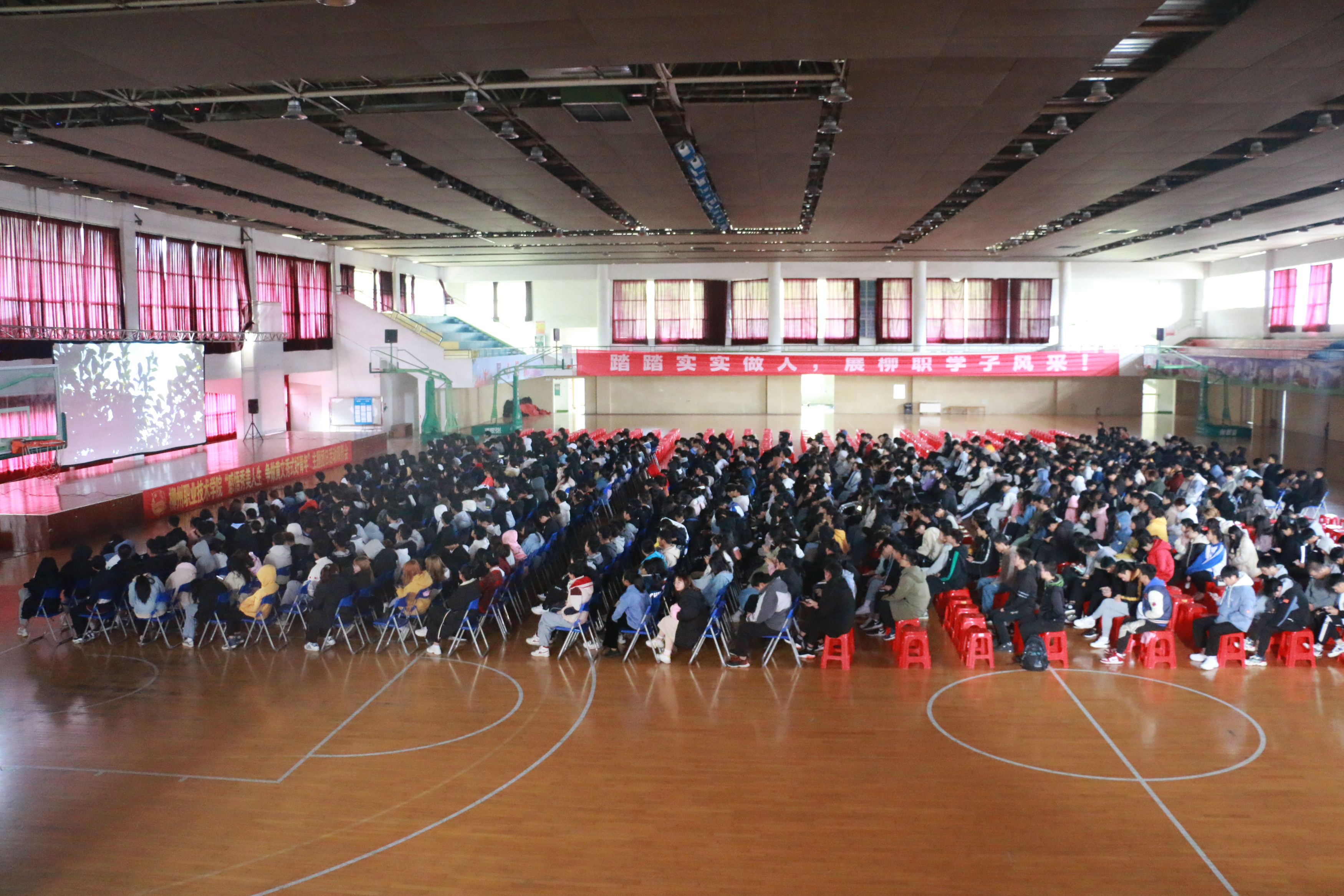 202012132220573678.jpg 202012132220573678.jpg