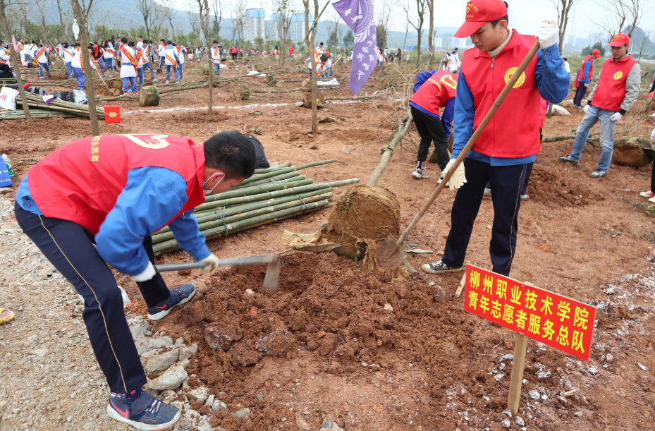 202103151708413878.png 202103151708413878.png