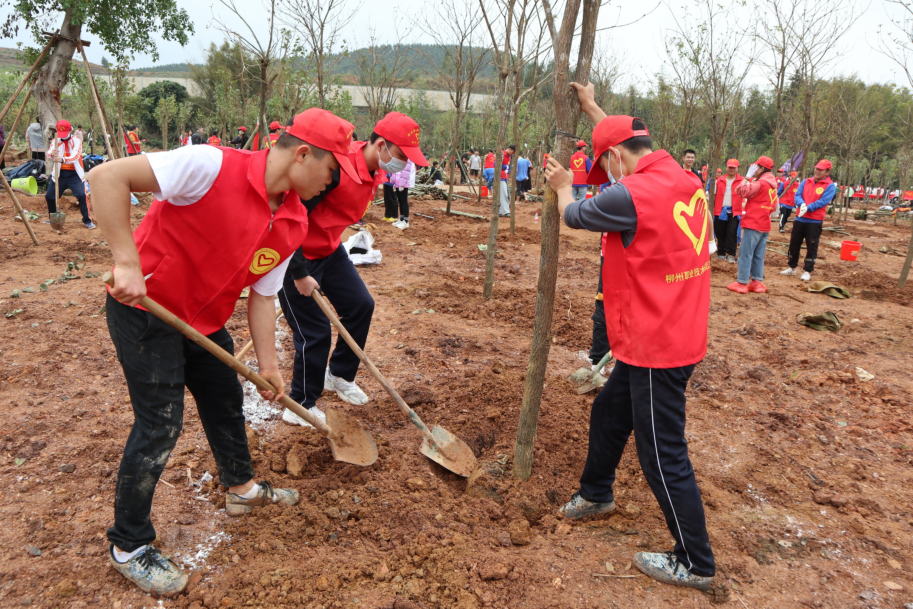 202103151709065613.png 202103151709065613.png