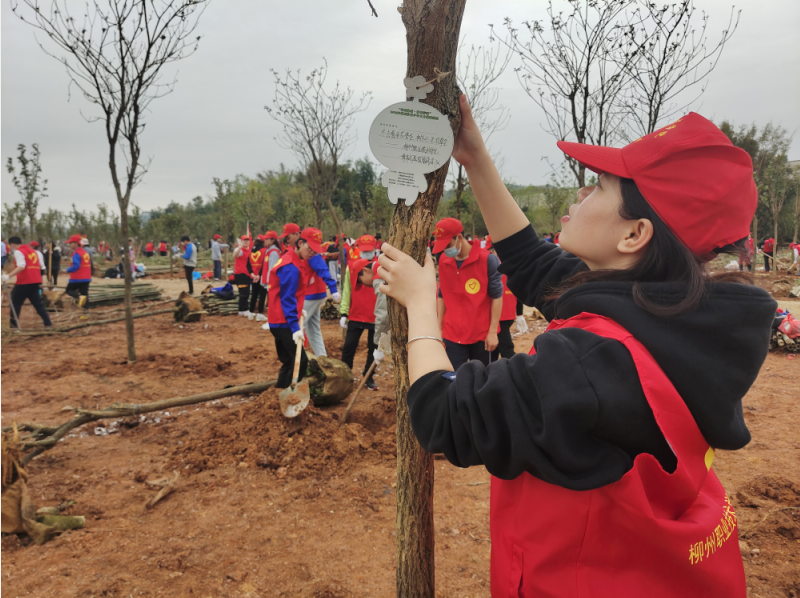 202103151713390546.png 202103151713390546.png