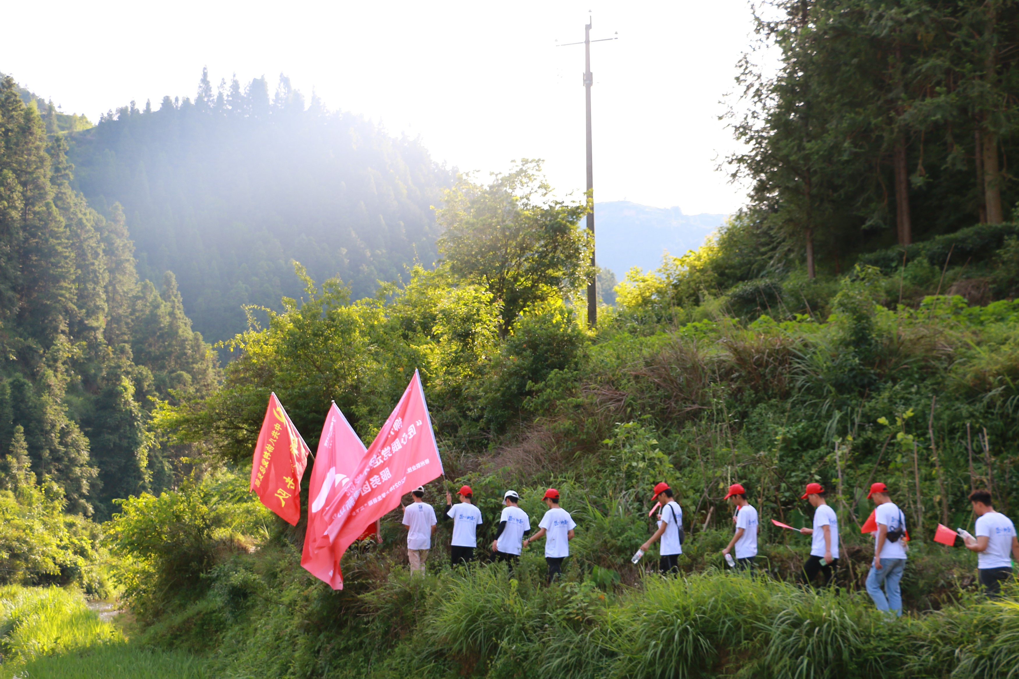 202107221725275091.JPG 202107221725275091.JPG