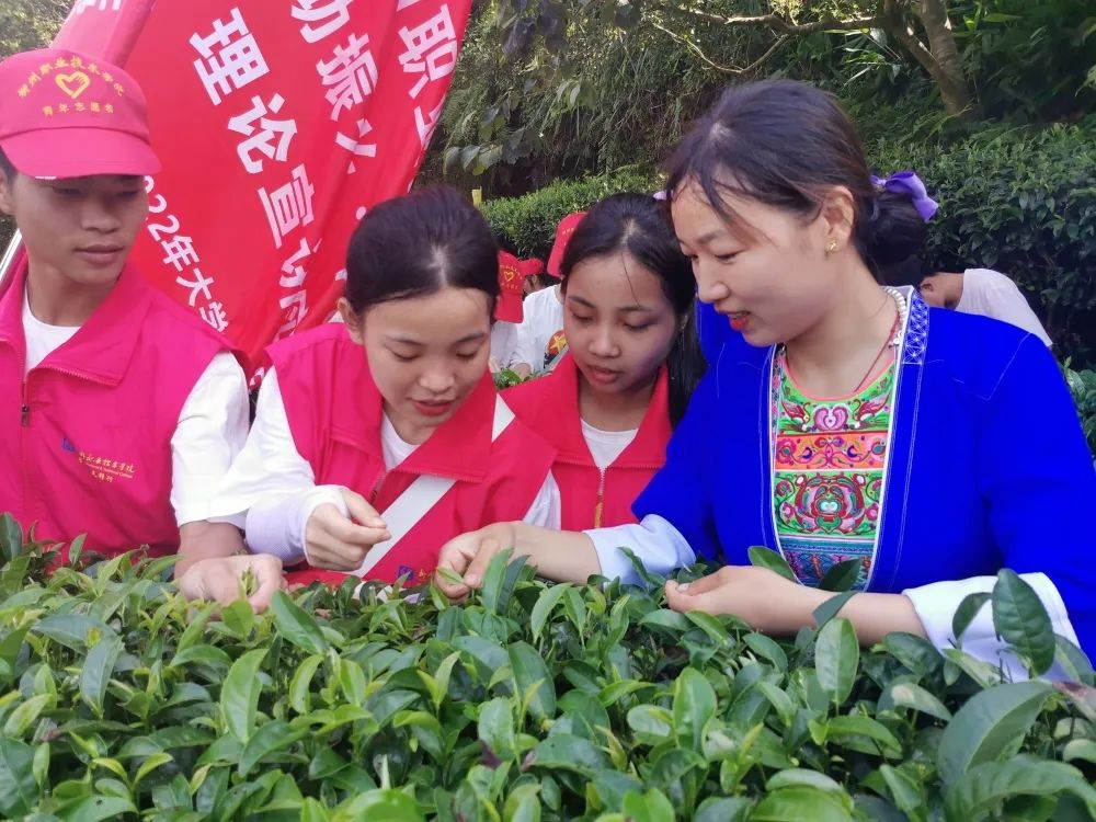 202207232147340336.png 202207232147340336.png