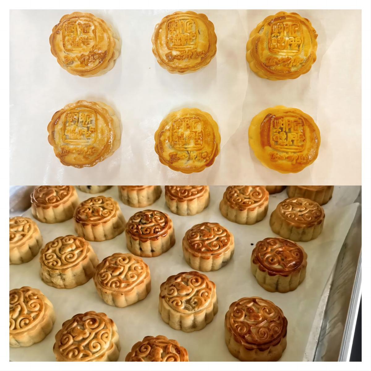 202309270927363680.png 202309270927363680.png