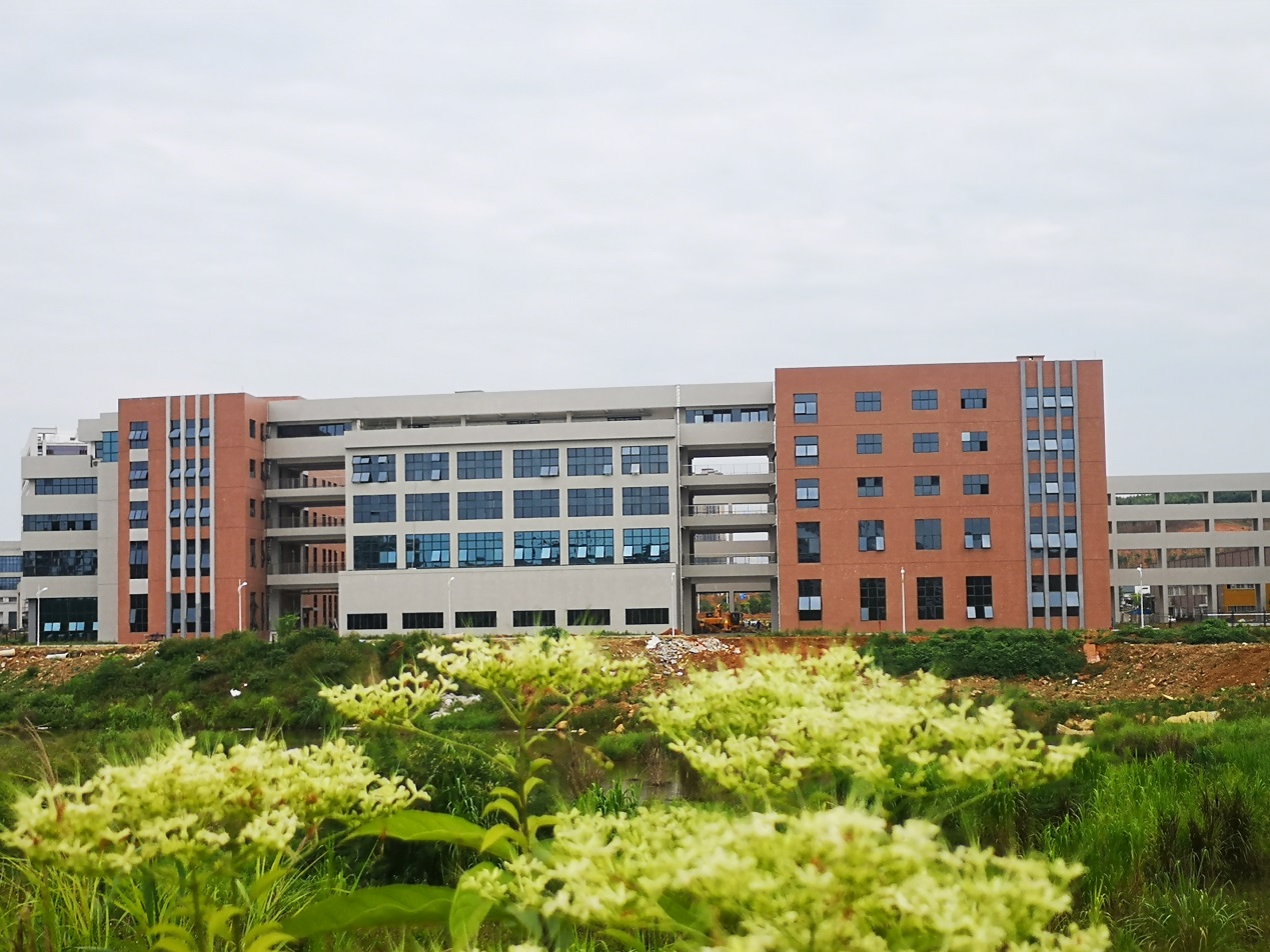 202112221138379391.Jpeg 202112221138379391.Jpeg