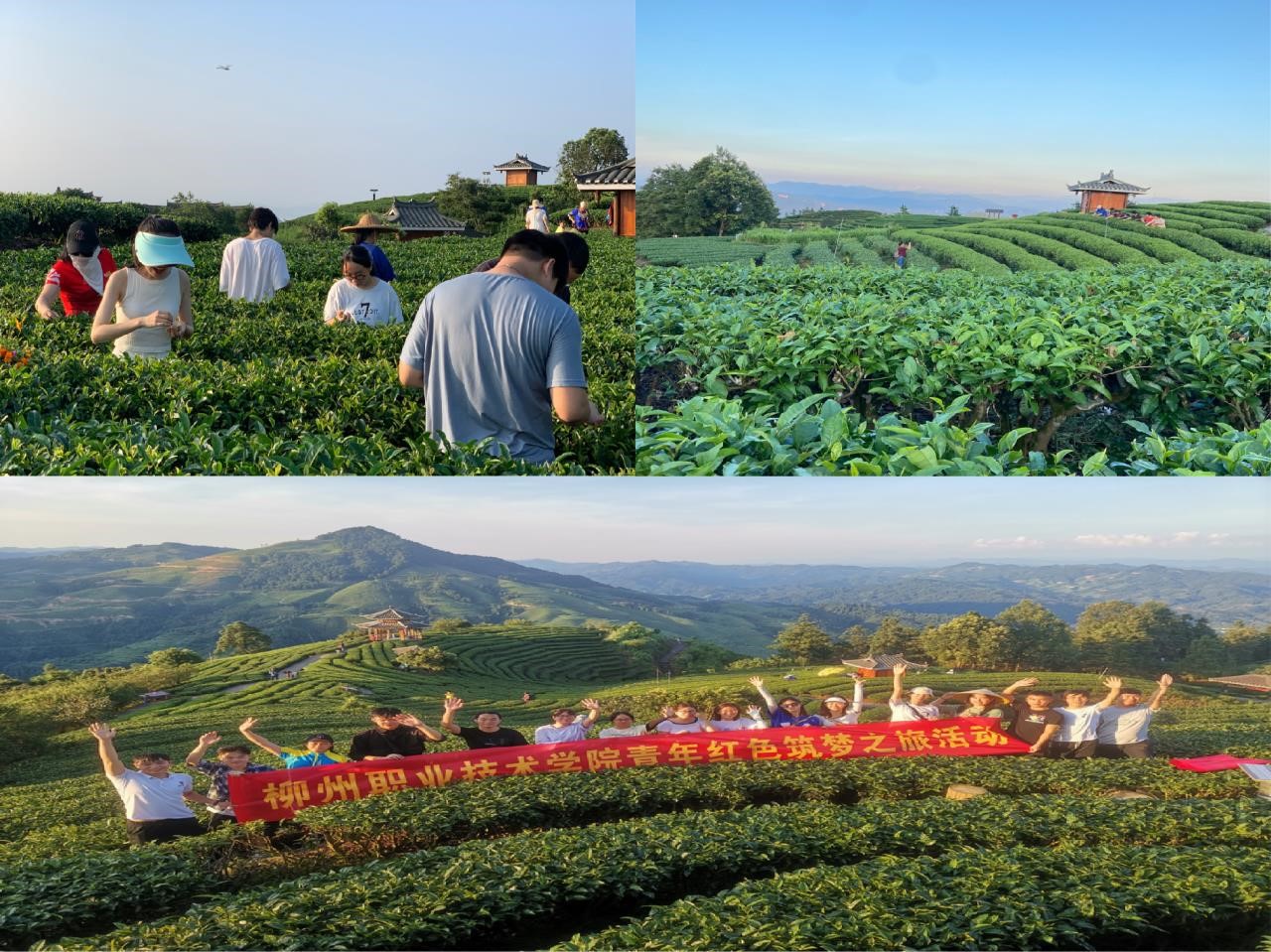 202207211906144544.jpg 202207211906144544.jpg