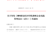柳职院字〔2022〕48 号  关于印发《柳州职业技术学院教师企业实践管理办法（试行）》的通知