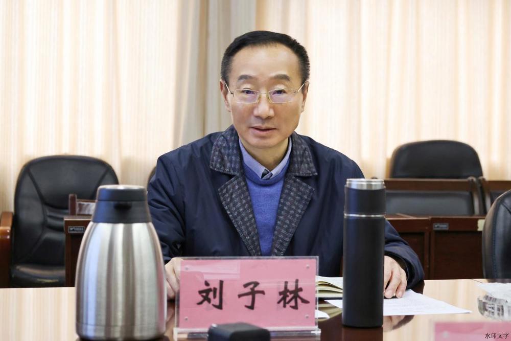 党委书记刘子林主持会议并讲话