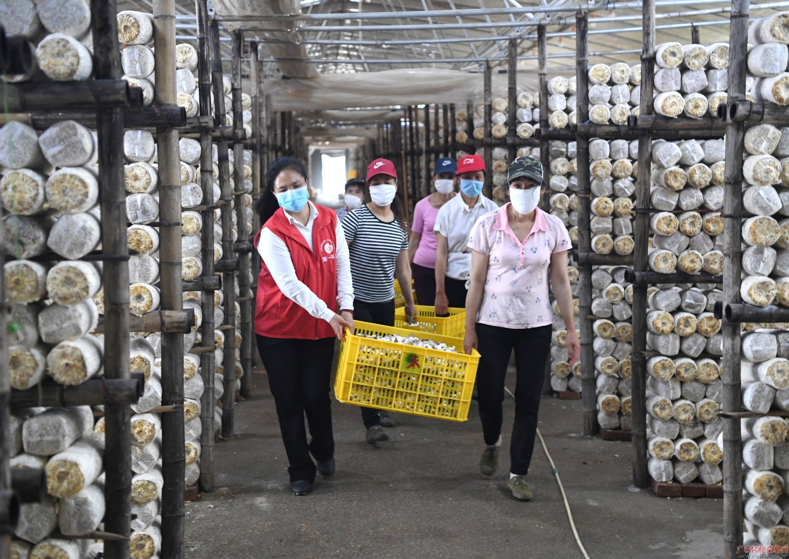 脱贫攻坚战场上的铿锵玫瑰——记全国脱贫攻坚先进个人、平乐县张家镇老埠村第一书记唐莉