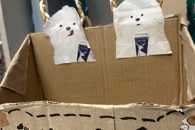 “正青春，寓见精彩”——贸易与旅游管理学院开展2025年宿舍文化节系列活动