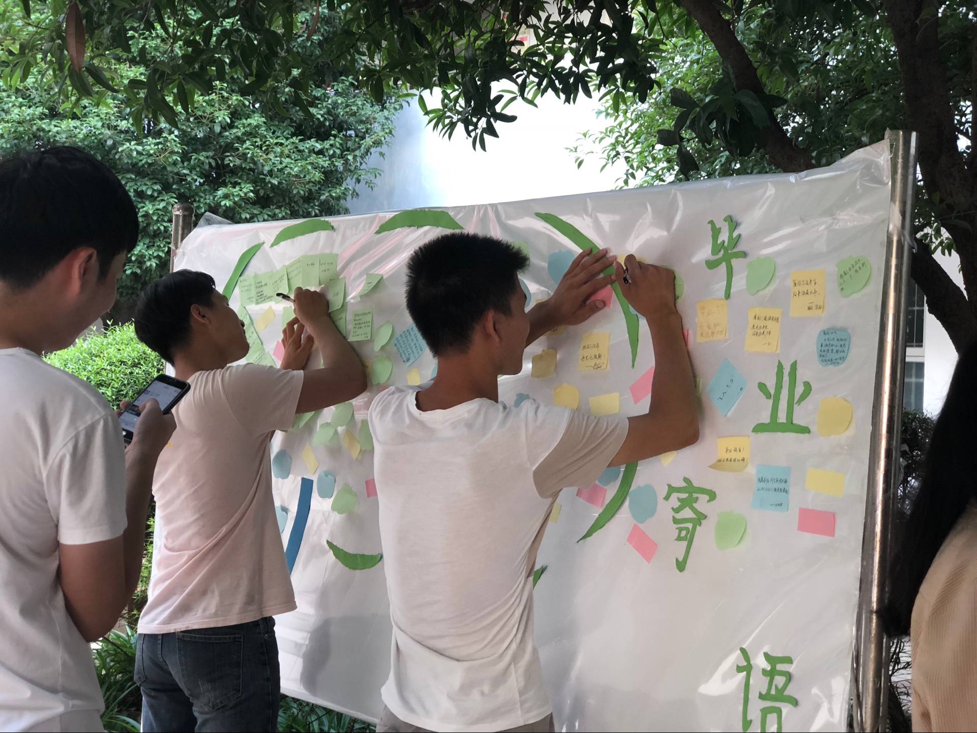 201807021413222791.jpg 201807021413222791.jpg