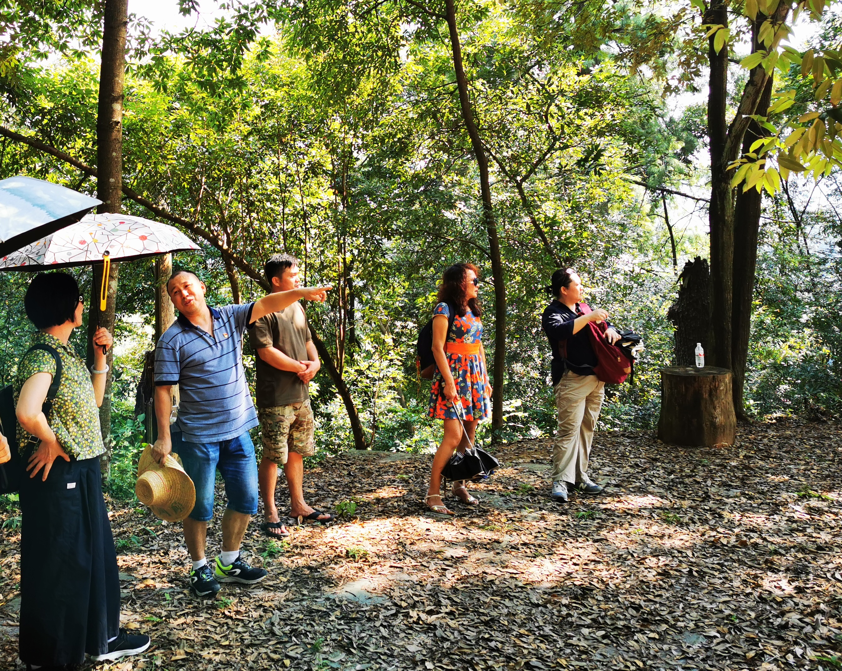 201908021757399772.png 201908021757399772.png