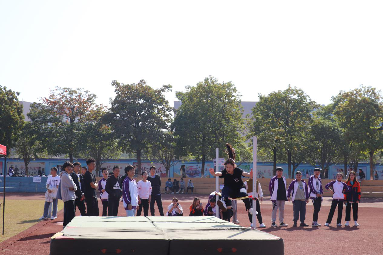 202011121654164085.png 202011121654164085.png