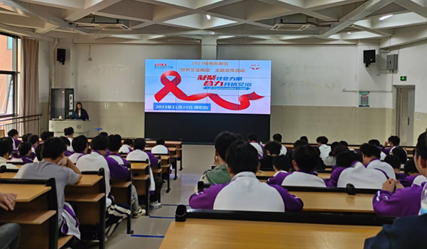 202311271311483165.png 202311271311483165.png