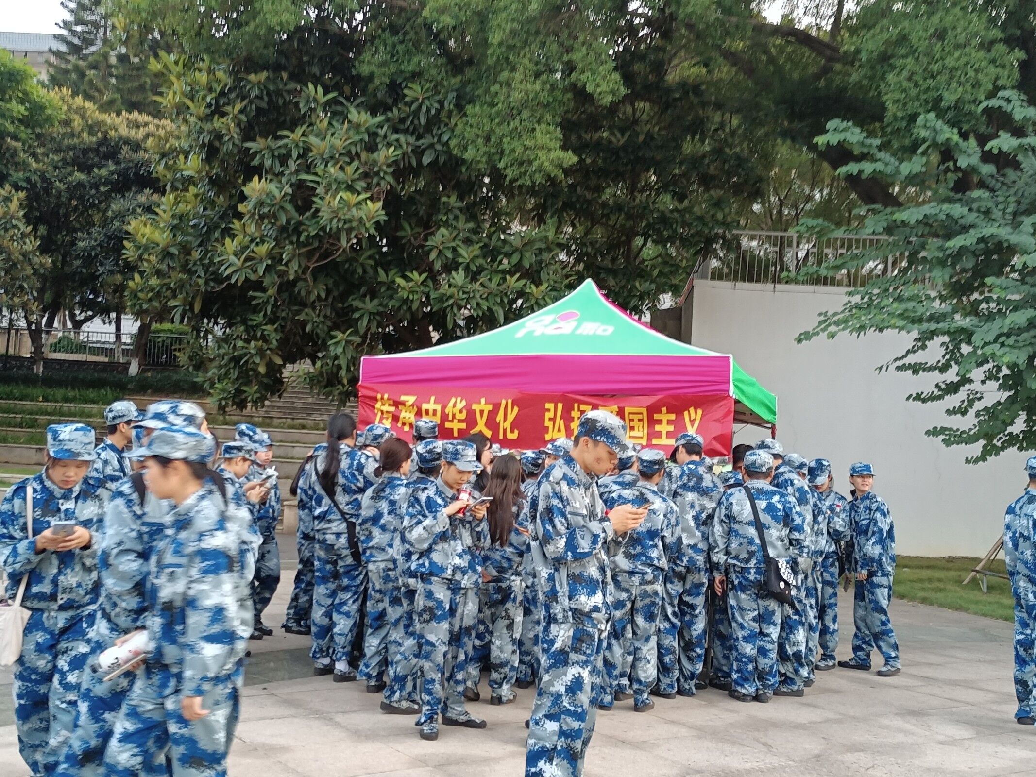 202011031019509514.jpg 202011031019509514.jpg