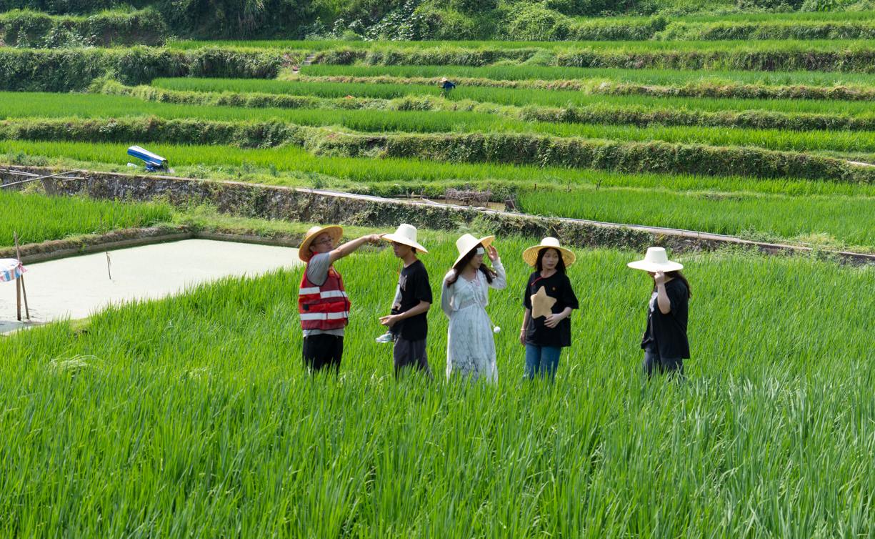 202307191954239024.png 202307191954239024.png