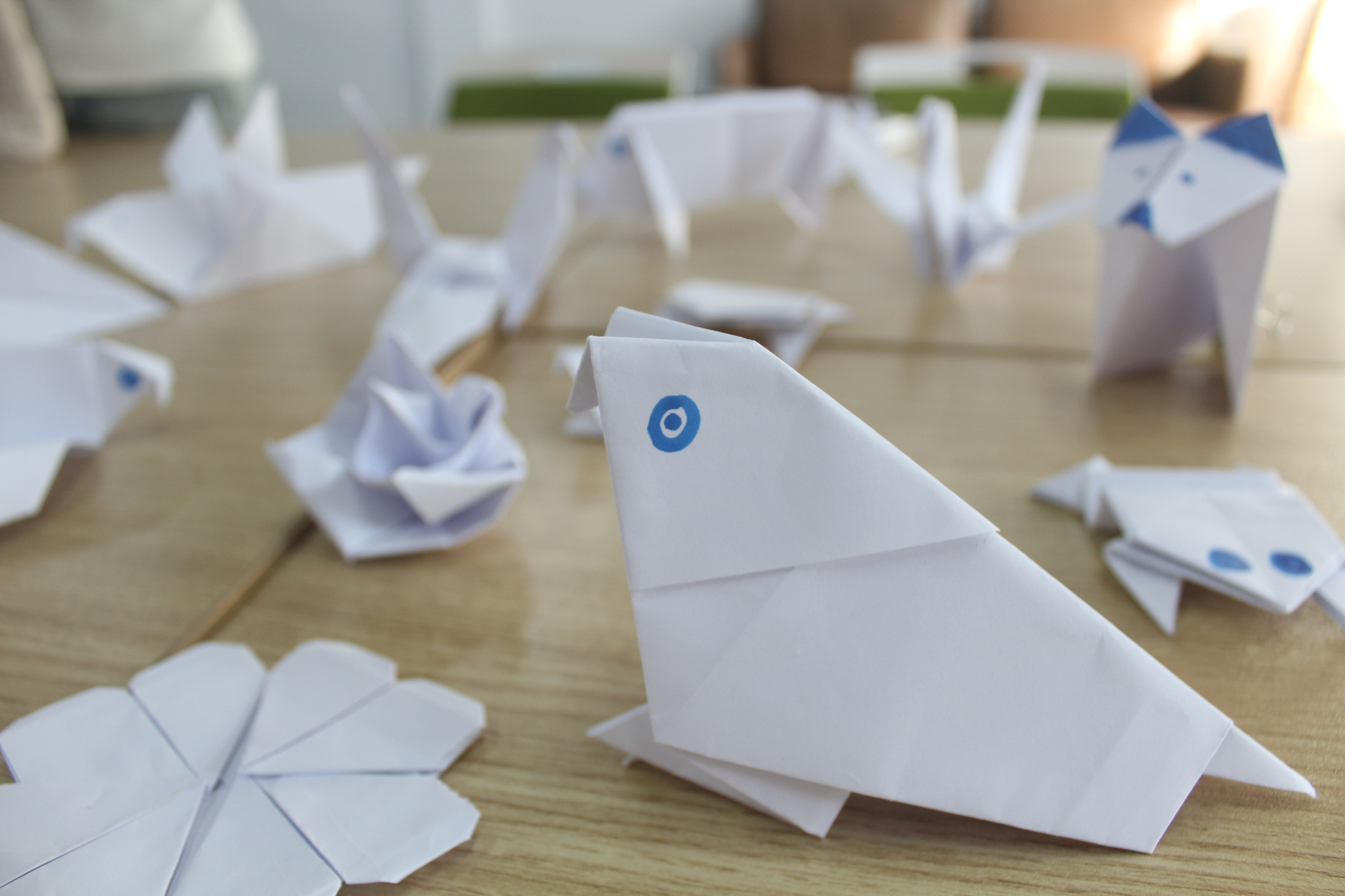 202407011232500616.JPG 202407011232500616.JPG