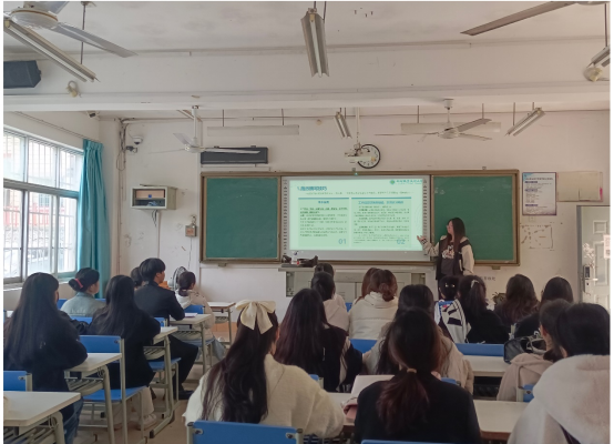 202411260959307294.png 202411260959307294.png